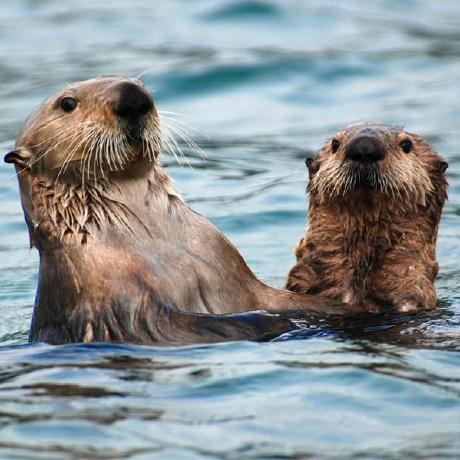 Diyoran Diyora Github - Best Dark Pictures in Full HD