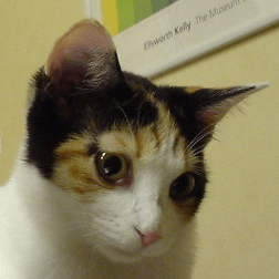 Iwasa Kosui Kosui Iwasa Github - Best Mountain Photos in Ultra HD