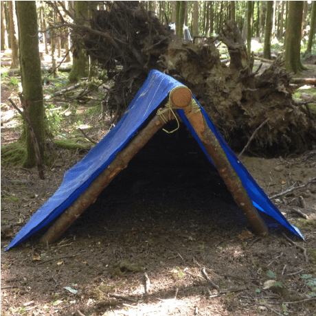 Github Aboreddev Playit Setup Script An Un Official Script To Set Up - Full HD Mountain Backgrounds for Desktop