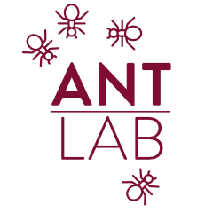 Github Antlab Polimi Ric Composer - Vintage Photo Collection - Full HD Quality