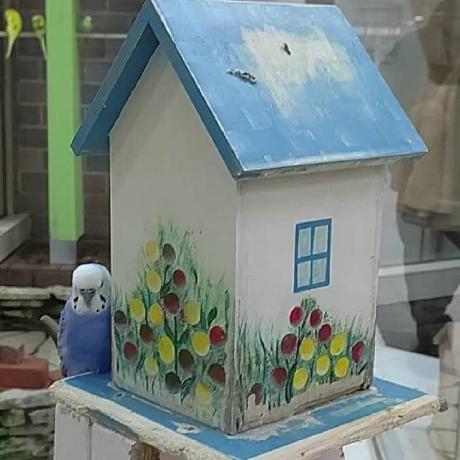 Snowrabbit Ttr Snow Rabbit Github - 4K City Backgrounds for Desktop