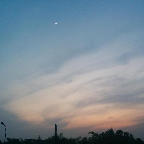 Dolores Wzq Github - High Resolution Minimal Images for Desktop