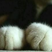 Github Zhw587 Huashan - Ultra HD HD Nature Images | Free Download