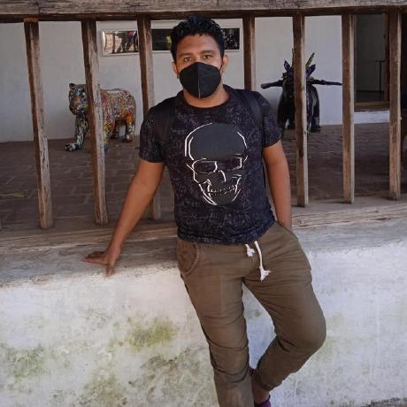 Github Crag666 Code Runner Nvim Neovim Plugin The Best Code Runner - Retina Mountain Photos for Desktop