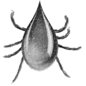 Homepage Cryptick Lab Github Io - Artistic Ultra HD Geometric Patterns | Free Download