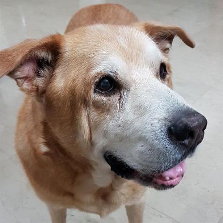 Github Ronenness Monogame Scenegraph Nodes Culling Entities For - Colorful Backgrounds - Elegant High Resolution Collection