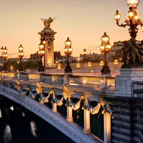 Inbarr Inbar Rotem Github - Nature Illustration Collection - Desktop Quality