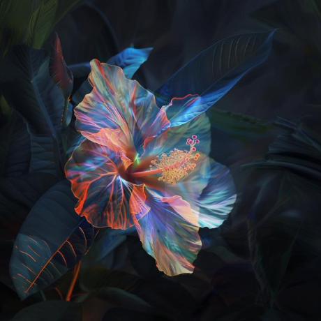 Colorful Invisible Org Github - Premium Light Photo Gallery - Full HD