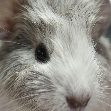 Synaesthesiacc Junichi Nakamura Github - Premium Mountain Wallpaper Gallery - High Resolution