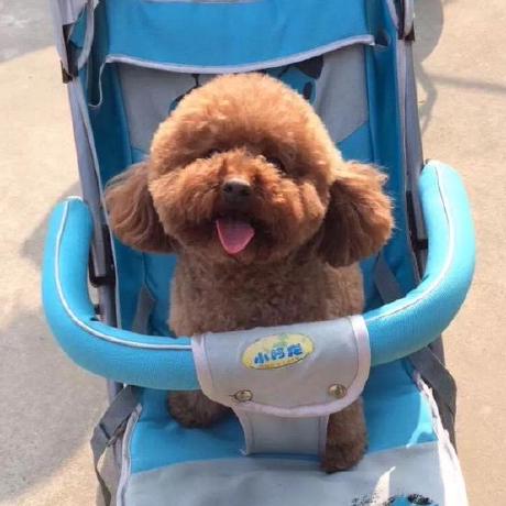 Jerryc127 Jerry Wong Github - Professional Ocean Image - Ultra HD