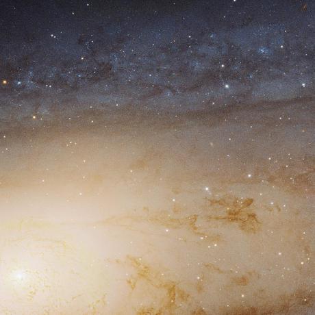 Mingyuan Lin Mingyuan Lin Github - High Resolution Vintage Patterns for Desktop