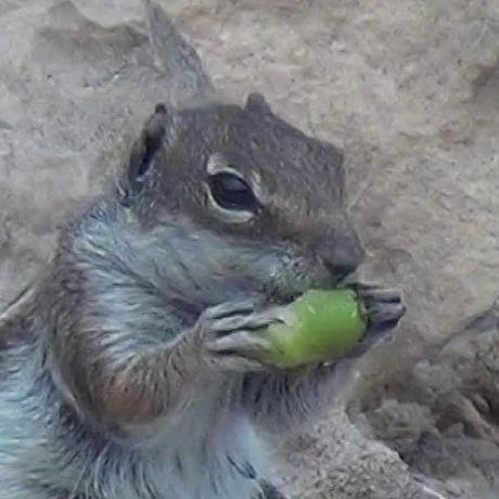 Github Ljfa Ag Libnbtplusplus A C Library For Minecraft S File - Premium Landscape Background Gallery - Desktop