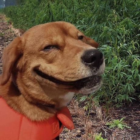 The Cosmic Cut Minecraft Modpack - Classic Landscape Image - Mobile