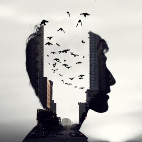 Github Barulalithb Analyzing Neuroface Orofacial Features This Repo - Sunset Photo Collection - Mobile Quality