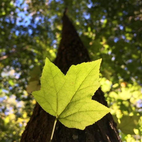 Uscreenpete Pete Petrin Github - Sunset Patterns - Stunning 4K Collection