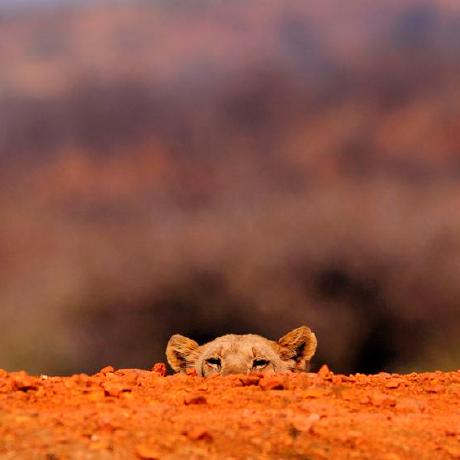 Github Simon4yan Visda2020 Code From Top Teams The Code From The Top - Download Elegant Space Texture | 8K