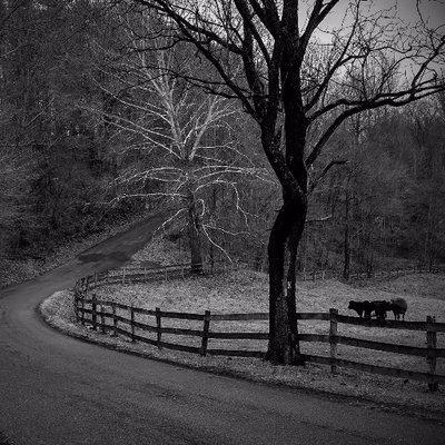 Bemullen Brooke Mullen Github - High Quality 8K Vintage Designs | Free Download