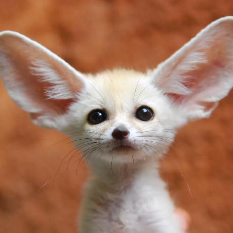 Winder Code Github - City Image Collection - Retina Quality