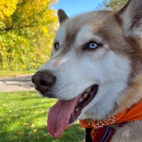 Underscore76 Underscore76 Github - Download Modern Abstract Background | 8K