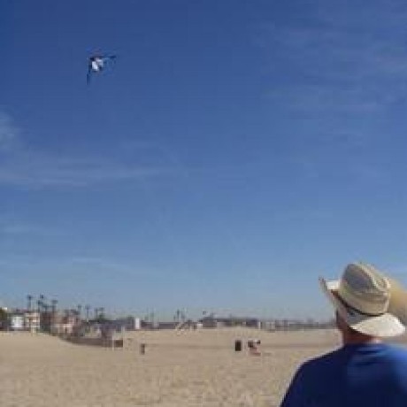 Petersibley Peter Sibley Github - Download Gorgeous Sunset Illustration | High Resolution