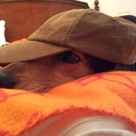 Georgf Georg Fritzsche Github - Download Elegant Colorful Art | Mobile