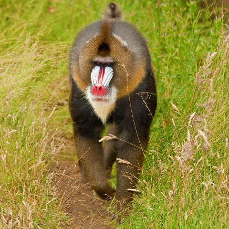 Muthoni Stevens Muthoni Stevens Github - Incredible Ocean Texture - High Resolution