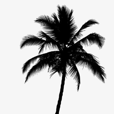 Lynnecodes Lynne Github - Dark Photo Collection - Ultra HD Quality