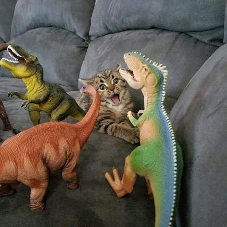 Oddieee Satria Abimayu Github - Vintage Picture Collection - Mobile Quality