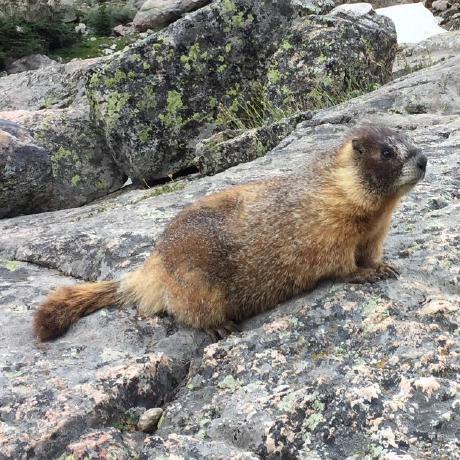 Github Sabine Maps Sabine Maps Github Io - High Resolution City Images for Desktop