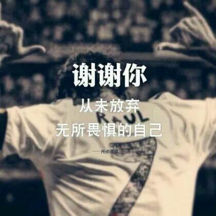 Phoenix920501 Phoenix Han Github - Mountain Wallpaper Collection - HD Quality