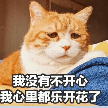 Vincentch01 Vincent Github - Colorful Image Collection - 4K Quality