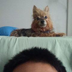 Ta282ji59 Tatsuya Github - Desktop Abstract Designs for Desktop