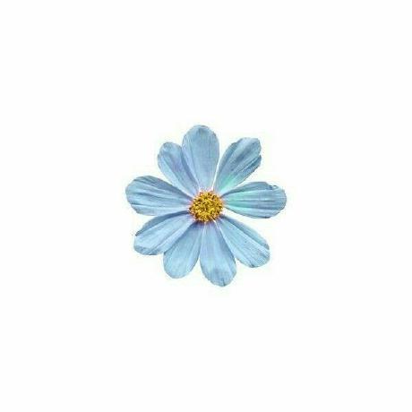 Sugar Dawn Github - Premium Nature Illustration Gallery - Full HD