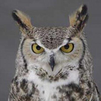 GitHub - Google-deepmind/gemma: Open Weights LLM From Google DeepMind.