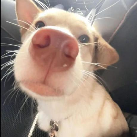 An Anony Github - Artistic HD Dark Textures | Free Download