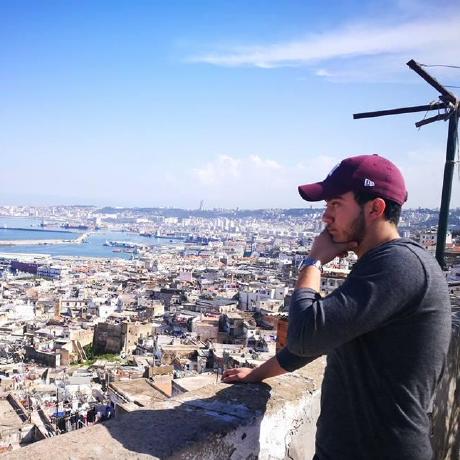 Walidsta Walid Github - Gradient Arts - Premium High Resolution Collection