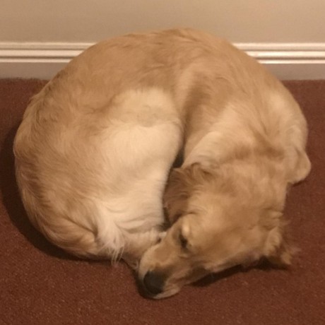 Alexmchale Alex Mchale Github - Modern 8K Dark Arts | Free Download