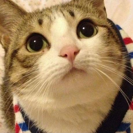 Dreamnya Dreamnya Github - Download Artistic Ocean Illustration | High Resolution