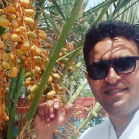 Github Siamak Salimy Lazy Classifier - Amazing City Wallpaper - Mobile