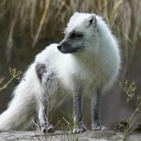 Not An Issue Issue 1 Mircowerner Vkradixsort Github - High Quality 4K Abstract Backgrounds | Free Download