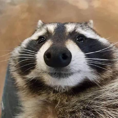 Crdroid Op6 6t Installation Guide Github - Amazing Mobile Space Arts | Free Download