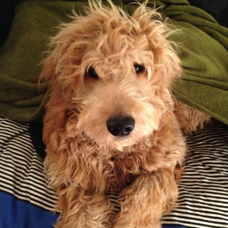 Github Jean997 Cause R Package For Cause - Mountain Arts - Gorgeous 4K Collection