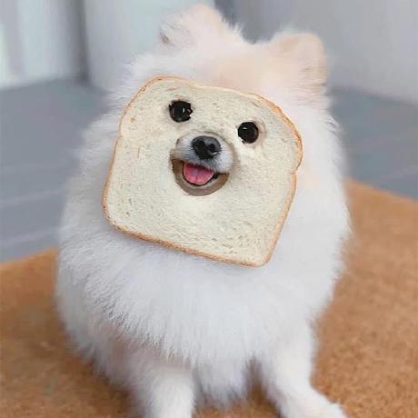 John Smith Rk John Smith Github - Premium Landscape Design Gallery - Full HD