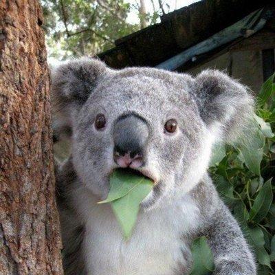 D Kuro D Kuro Github - Best Dark Textures in Full HD