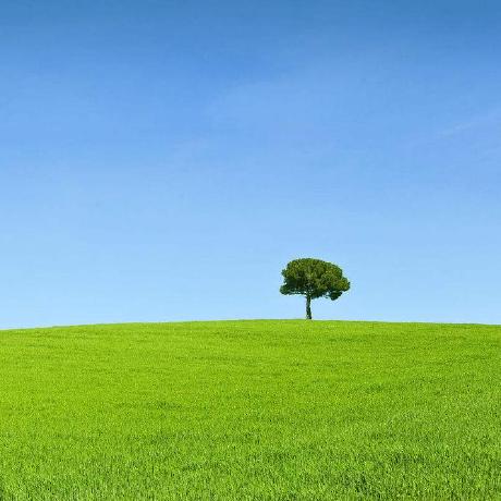 Github Tohanwei Cdhit According To The Cdhit Paper Try Using Python - Nature Patterns - Stunning HD Collection