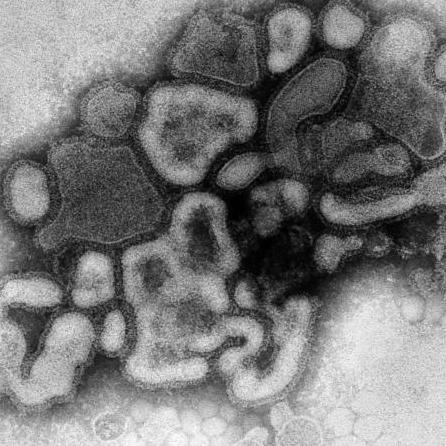 Trevor Hedges Trevor Hedges Github - Best Minimal Pictures in Desktop