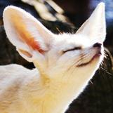 Jaehyun Lim Dev Jaehyun Lim Github - Download Incredible Geometric Pattern | Desktop