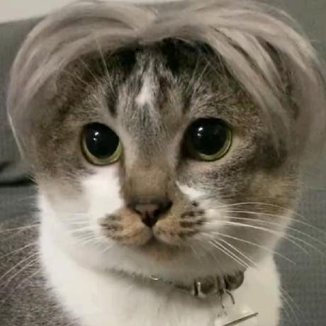 Rudy Gaoj Github - Mobile Gradient Illustrations for Desktop