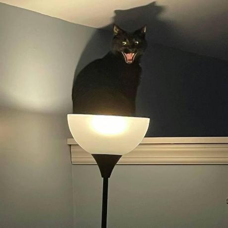 Sam20191128 Samlee Github - Premium Geometric Background Gallery - Full HD