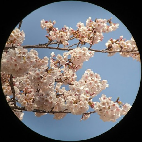 M Ishiguro Jtechlab M Ishiguro Jtechlab Github - Ultra HD Abstract Arts for Desktop